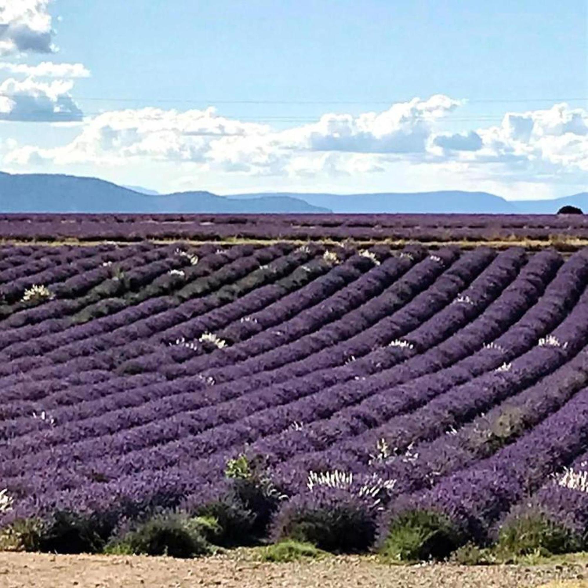 La Roulotte Du Verdon 坎松 外观 照片